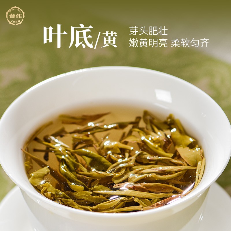 岳陽(yáng)黃茶