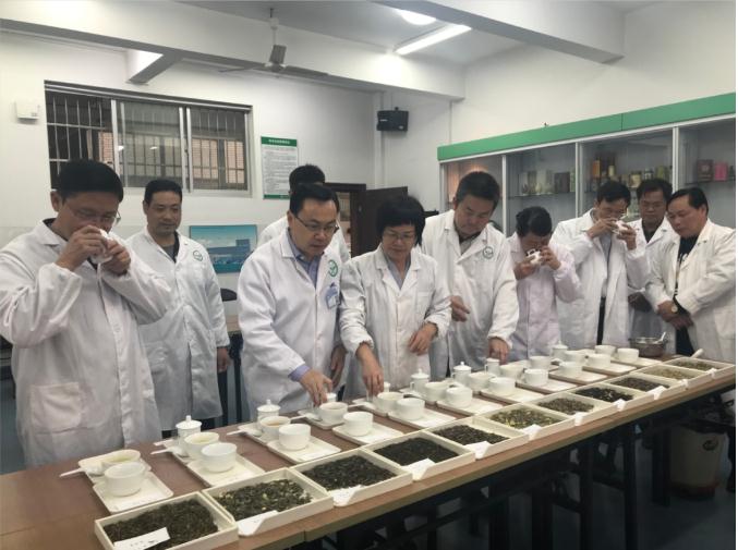 瀟湘茶業(yè)開展花茶審評和座談會，劉仲華院士等專家共謀花茶產業(yè)發(fā)展