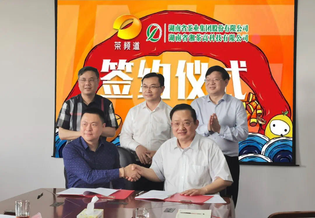 院士見證，輕輕茶發(fā)力品牌建設(shè)，與茶頻道達(dá)成深度合作