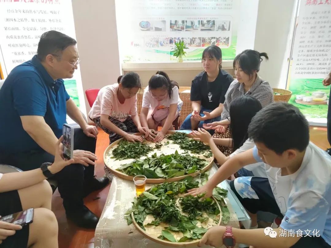 原載人民日報(bào)“人民視點(diǎn)”茶葉是怎樣做出來的？湖南大、中、小學(xué)生體驗(yàn)湖南工夫紅茶制作
